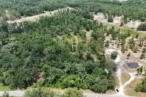 Land in Live Oak, Florida № 1773181 - photo 3