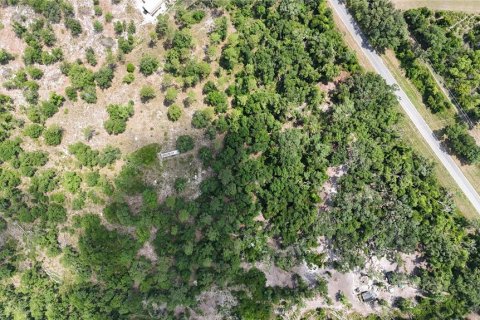 Land in Live Oak, Florida № 1773181 - photo 7