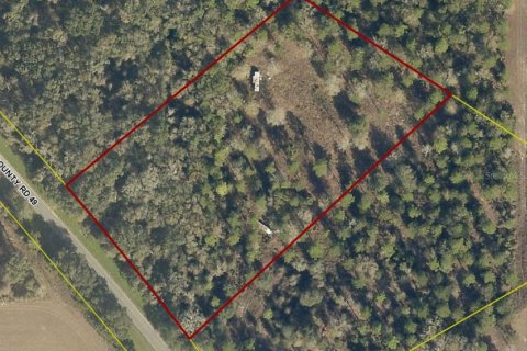 Land in Live Oak, Florida № 1773181 - photo 10