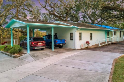 Casa en venta en Riverview, Florida, 6 dormitorios, 509.66 m2 № 1722921 - foto 14