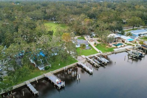 Casa en venta en Riverview, Florida, 6 dormitorios, 509.66 m2 № 1722921 - foto 3