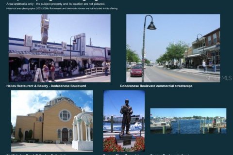 Immobilier commercial à Tarpon Springs, Floride 789.3 m2 № 2416978