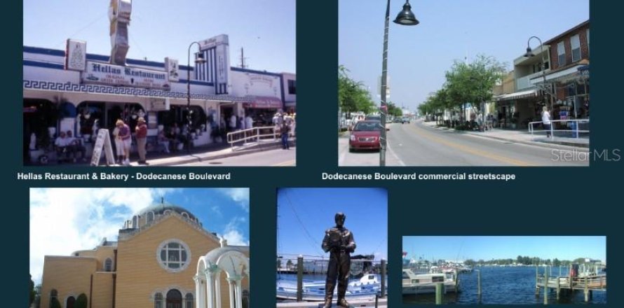 Immobilier commercial à Tarpon Springs, Floride 789.3 m2 № 2416978
