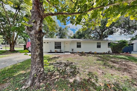 Villa ou maison à Valrico, Floride 3 chambres, 101.45 m2 № 2385947