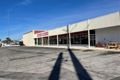 Commercial property in Eustis, Florida 2487.55 sq.m. № 2211848 - photo 2