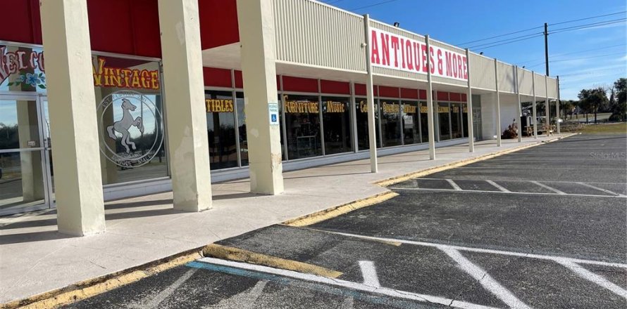 Commercial property in Eustis, Florida 2487.55 sq.m. № 2211848