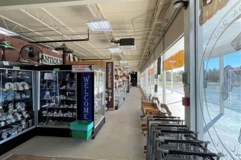 Commercial property in Eustis, Florida 2487.55 sq.m. № 2211848 - photo 6