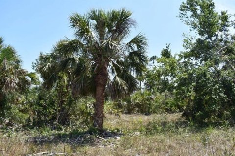 Terreno en Port Charlotte, Florida № 2226922
