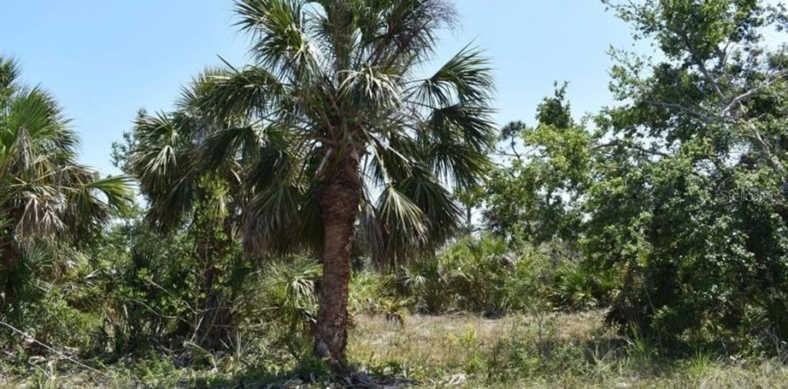 Land in Port Charlotte, Florida № 2226922