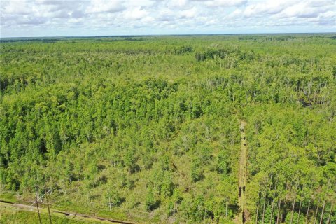 Land in Fort MC Coy, Florida № 1886271 - photo 5