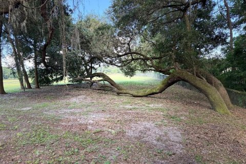 Terrain à vendre à Summerfield, Floride № 1835368 - photo 6