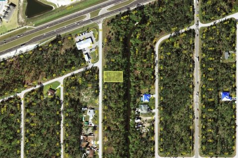 Land in Port Charlotte, Florida № 2122339 - photo 2