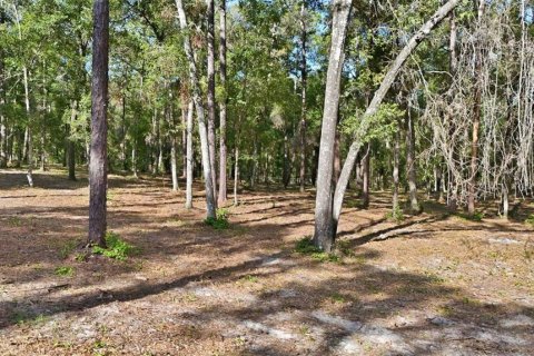 Terrain à vendre à Inverness, Floride № 2148872 - photo 6