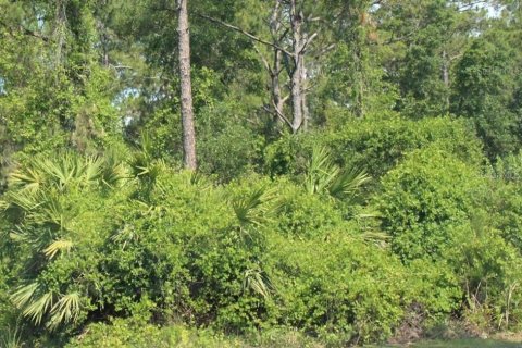 Land in De Leon Springs, Florida № 2160831