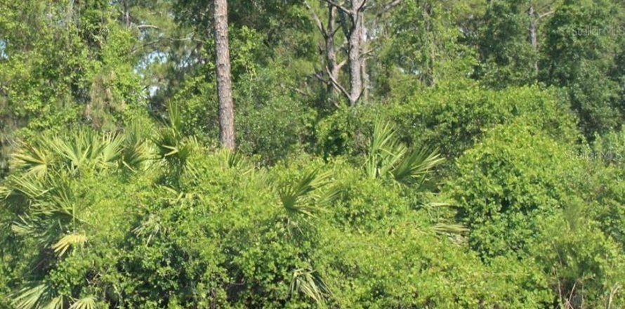 Land in De Leon Springs, Florida № 2160831