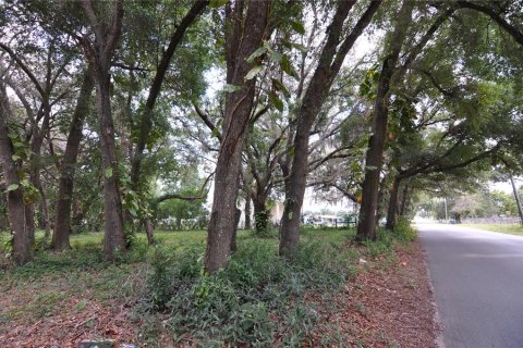 Terreno en venta en Zephyrhills, Florida № 1751910 - foto 5