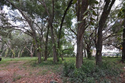 Terreno en venta en Zephyrhills, Florida № 1751910 - foto 6
