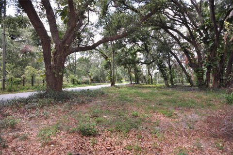 Terreno en venta en Zephyrhills, Florida № 1751910 - foto 4