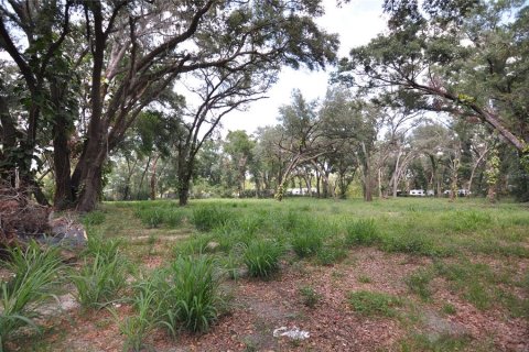 Terreno en venta en Zephyrhills, Florida № 1751910 - foto 3