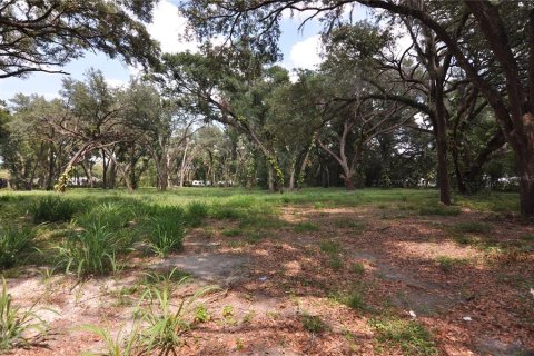 Terreno en venta en Zephyrhills, Florida № 1751910 - foto 1