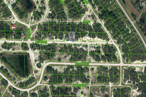 Land in Lake Placid, Florida № 2224036
