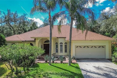 Villa ou maison à vendre à Plant City, Floride: 4 chambres, 210.05 m2 № 2290617 - photo 3