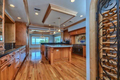 Villa ou maison à louer à Belleair Beach, Floride: 8 chambres, 913.51 m2 № 2108489 - photo 4