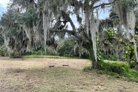 Terrain à vendre à Palmetto, Floride № 2167401 - photo 5