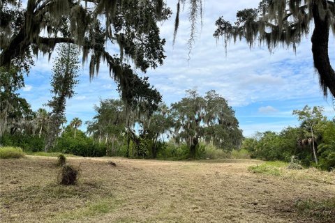 Terrain à vendre à Palmetto, Floride № 2167401 - photo 3