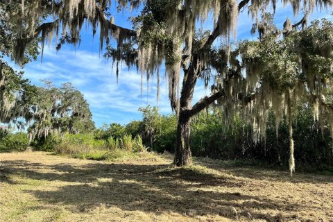 Terrain à vendre à Palmetto, Floride № 2167401 - photo 6