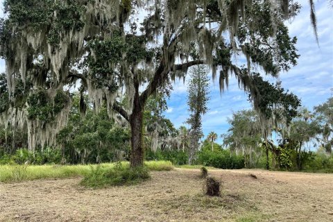 Terrain à vendre à Palmetto, Floride № 2167401 - photo 4