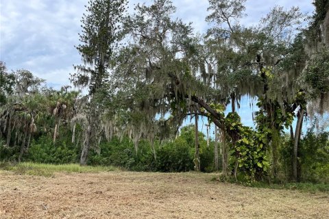 Terrain à Palmetto, Floride № 2167401