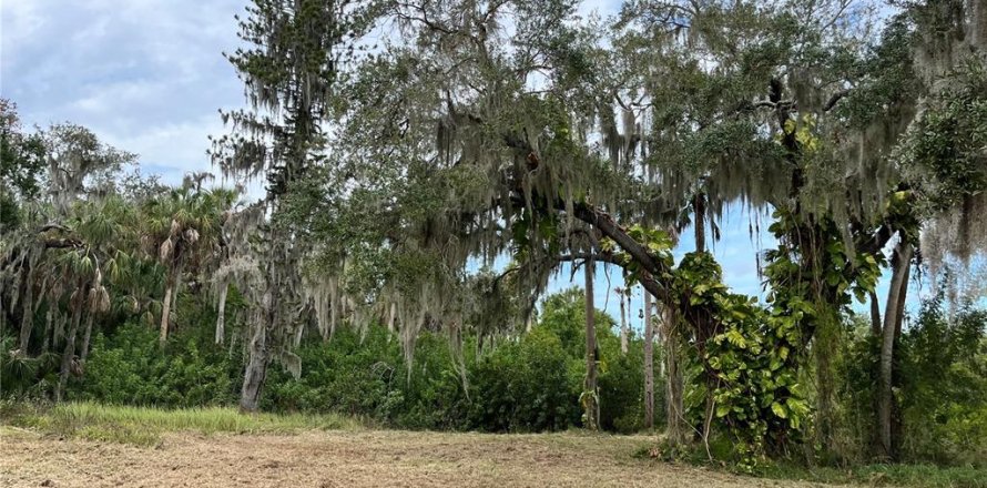 Terrain à Palmetto, Floride № 2167401