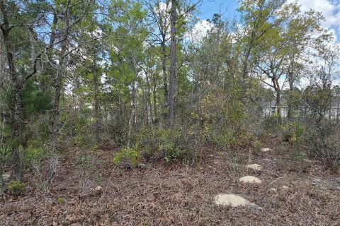 Land in Ocala, Florida № 2160658 - photo 3