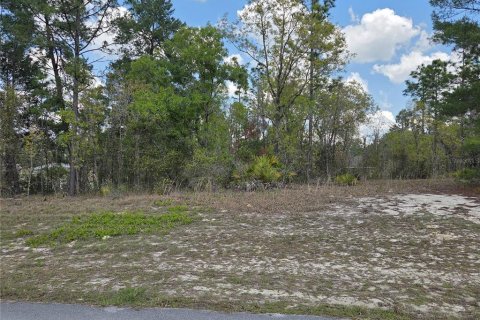 Land in Ocala, Florida № 2160658 - photo 2