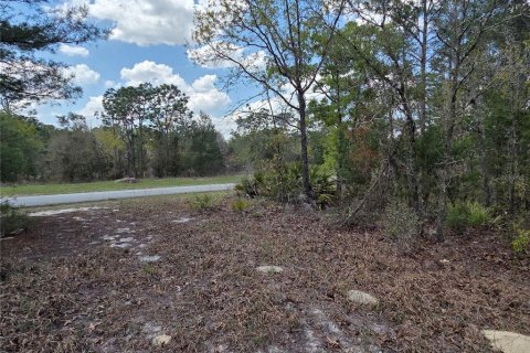 Land in Ocala, Florida № 2160658 - photo 4