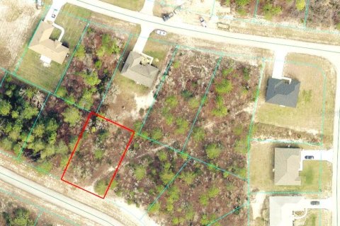 Land in Ocala, Florida № 2160658