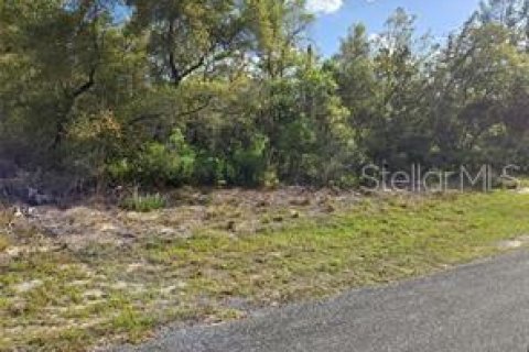 Terreno en venta en Oxford, Florida № 1917509 - foto 1