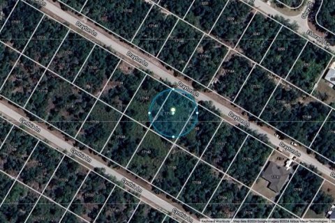 Land in Port Charlotte, Florida № 2165463 - photo 2