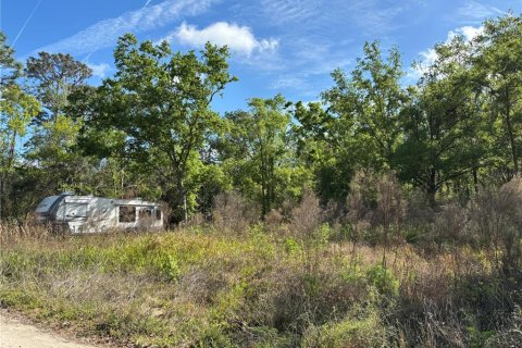 Land in New Port Richey, Florida № 1616610 - photo 1