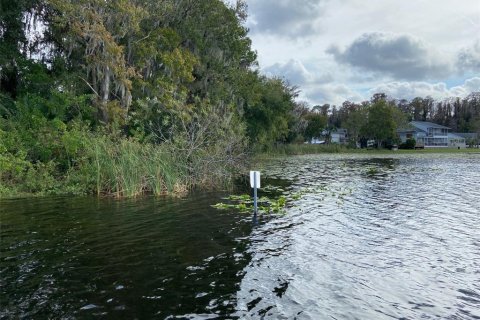 Land in New Port Richey, Florida № 1616610 - photo 9