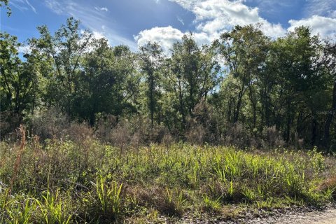 Land in New Port Richey, Florida № 1616610 - photo 5