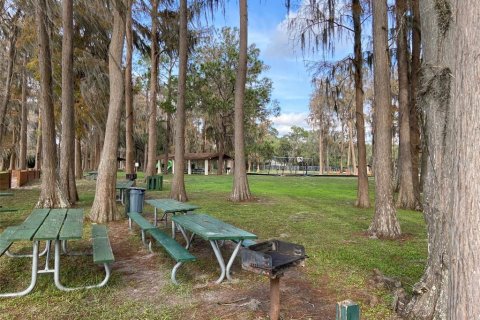 Land in New Port Richey, Florida № 1616610 - photo 15