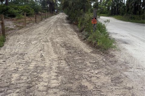 Terrain à vendre à Punta Gorda, Floride № 2037065 - photo 8