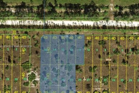 Terrain à Punta Gorda, Floride № 2037065