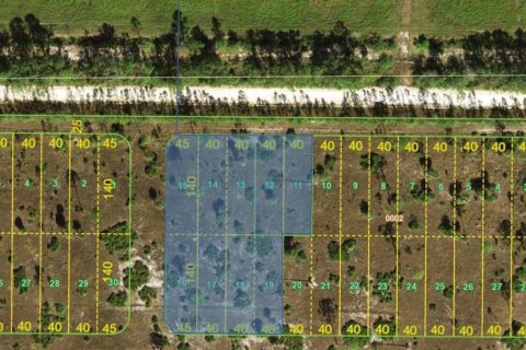 Terrain à vendre à Punta Gorda, Floride № 2037065 - photo 2