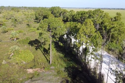 Terrain à vendre à Punta Gorda, Floride № 2037065 - photo 7