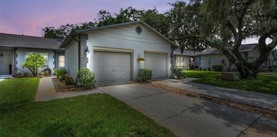 Condo in New Port Richey, Florida, 2 bedrooms  № 1844439