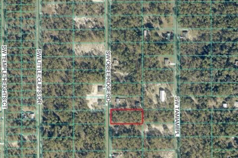 Land in Dunnellon, Florida № 2393446