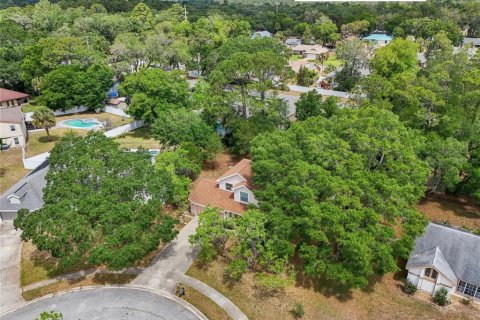 Villa ou maison à vendre à Port Orange, Floride: 3 chambres, 154.03 m2 № 1662434 - photo 2